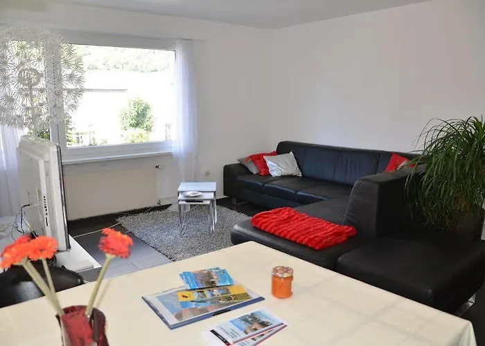 Steinbock Apartament