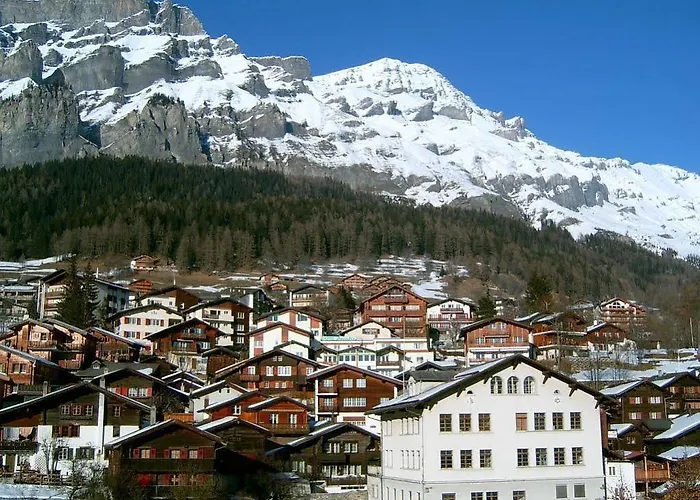 Steinbock Apartament